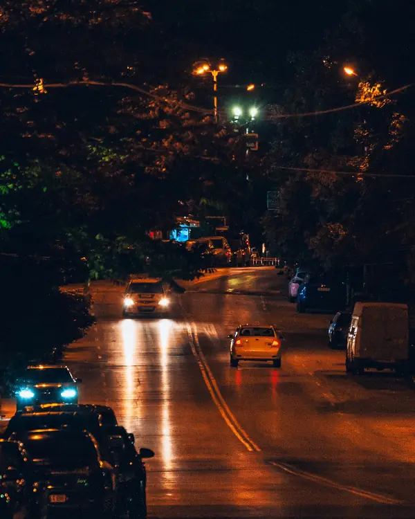 Cars with headlights on a wet tree-lined street at night under orange street lamps
