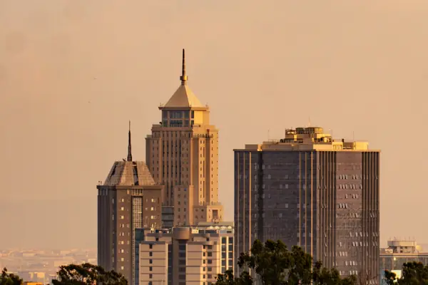 City towers glowing at golden hour above a dark line of trees