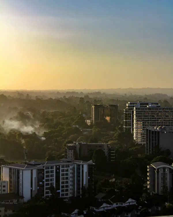Apartment blocks among dense green trees as the sun sets in a hazy sky